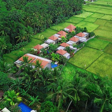 Asri Sari Ubud Villa & Resort Exteriör bild