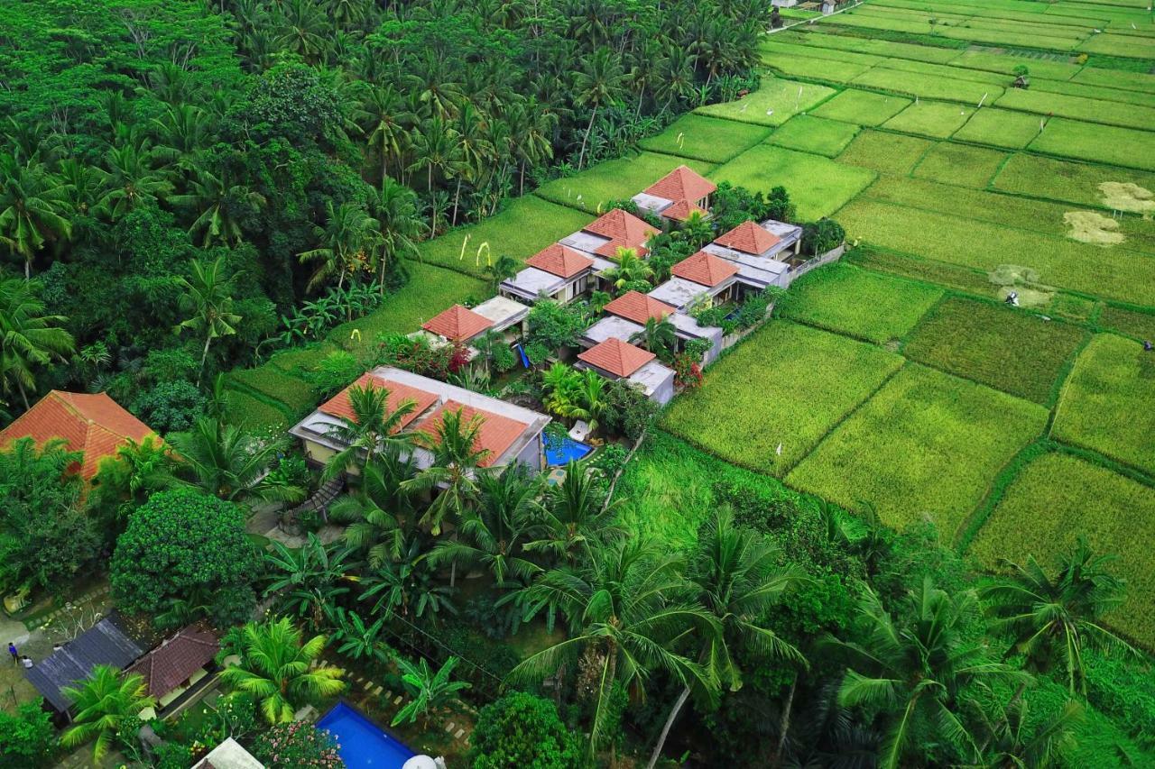 Asri Sari Ubud Villa & Resort Exteriör bild